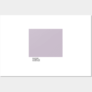 pantone 13-3805 TCX Orchid Hush Posters and Art